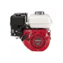 Motopompa Honda WB30XT per travaso