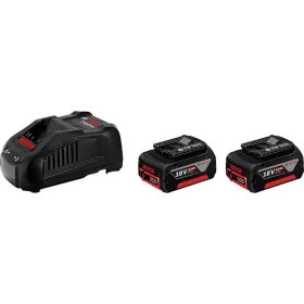 Batterie 2 pz-5ah + caricatore - gal 1880 cv 18v - 
