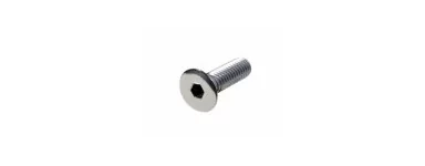 Bullone testa svasata inox, Bullone brugola inox.
